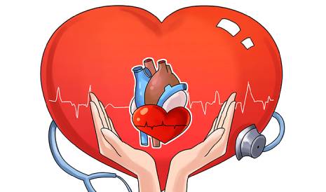 A Special Topic on Raw Material Technology for Cardiovascular and Cerebrovascular Disease Detection